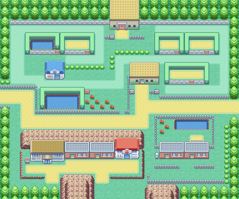 Fuchsia City map