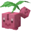 Cherubi