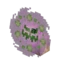 Spiritomb